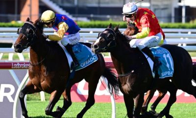 Cliff Little's Magic Millions Hope