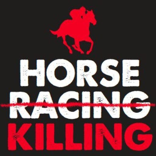 Kill #1 in 2024 - Horseracing Wrongs