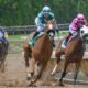 Free Horse Horse Race photo and picture