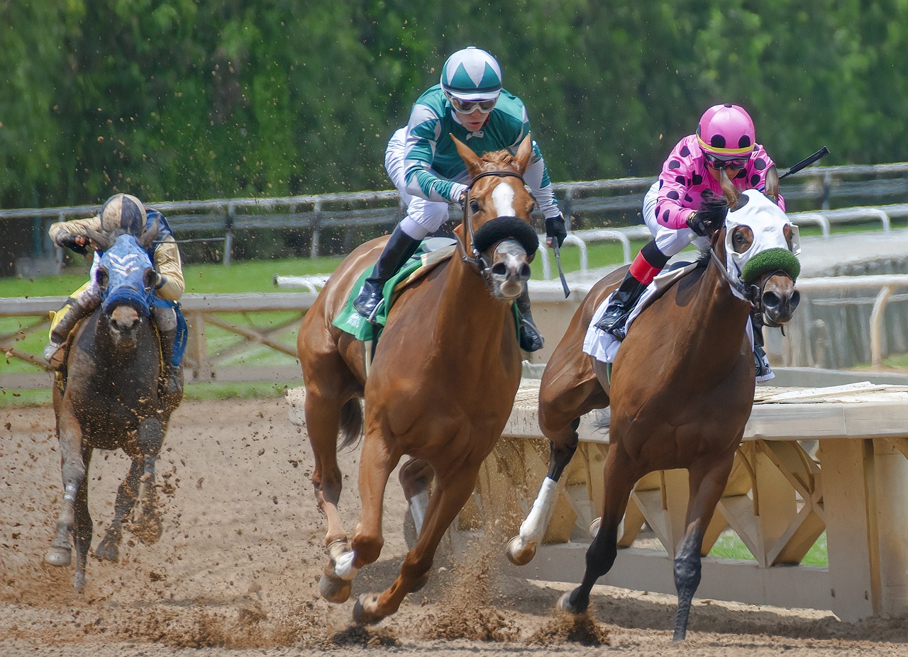 Free Horse Horse Race photo and picture