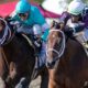 RWITC's Suspension of Trainer Sparks Controversy in Horse Racing Community