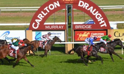 Thrilling Horse Racing Day at Murray Bridge Racetrack