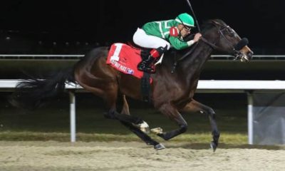 Vote No rallies to win by 5 1/4 lengths in Turfway Prevue