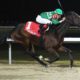 Vote No rallies to win by 5 1/4 lengths in Turfway Prevue